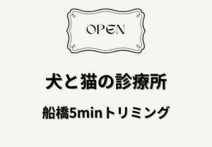 犬と猫の診療所・船橋5minトリミングが本町にオープン｜船橋駅徒歩5分の診療所併設サロン